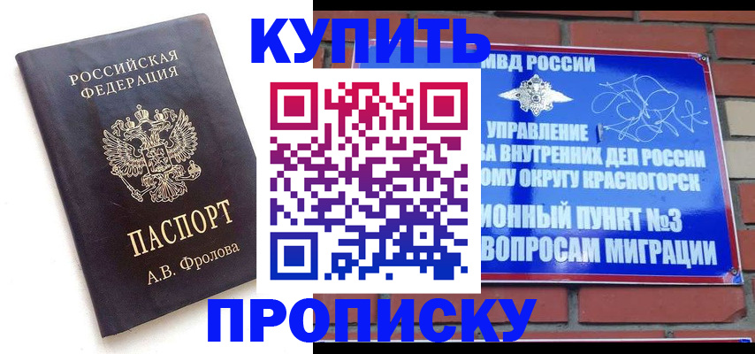 прописка поиск в Павловске